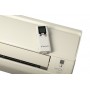 DAIKIN FTYN25GX / RYN25GX